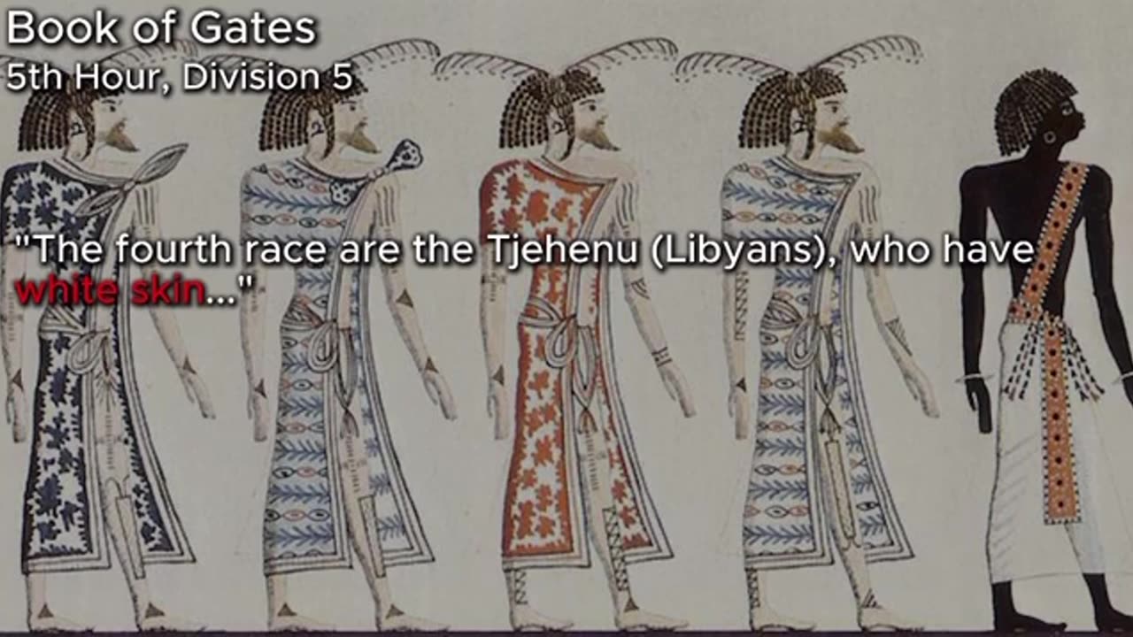 The Descendants Of Ham Were White