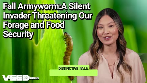 Fall Armyworm:A Silent Invader Threatening Our Forage and Food Security