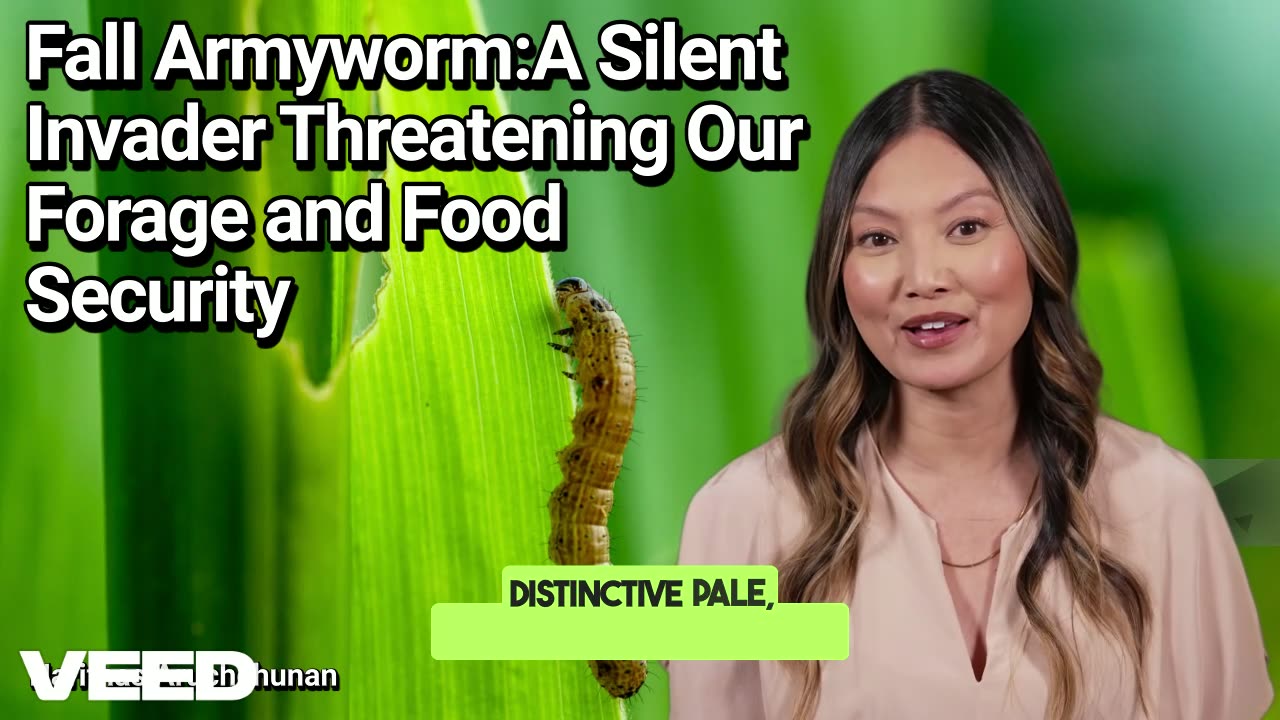 Fall Armyworm:A Silent Invader Threatening Our Forage and Food Security