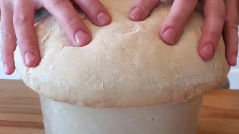 Bounce! #sourdough #thebakeradventures #shorts #baking