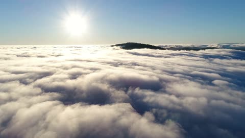 Um Simples Servo - Leonor Legendado