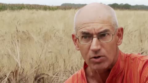 Field of Secrets: The Crop Circle Investigation