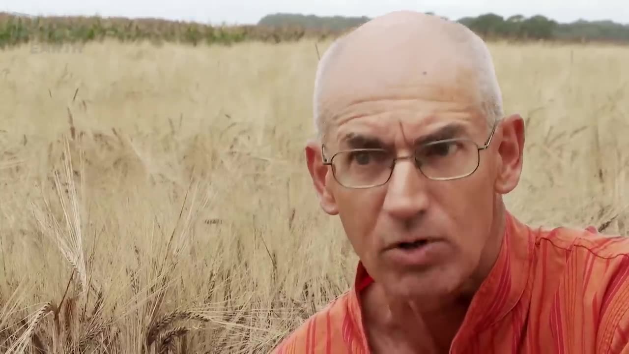 Field of Secrets: The Crop Circle Investigation