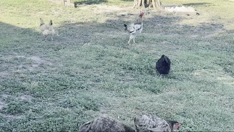 Isaia 45:22 #Dio #Gesu #italiano