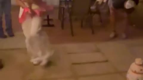 New viral memes #funny, #funnymemes, #viral, #trending, #viralmemes, #youtubeshorts