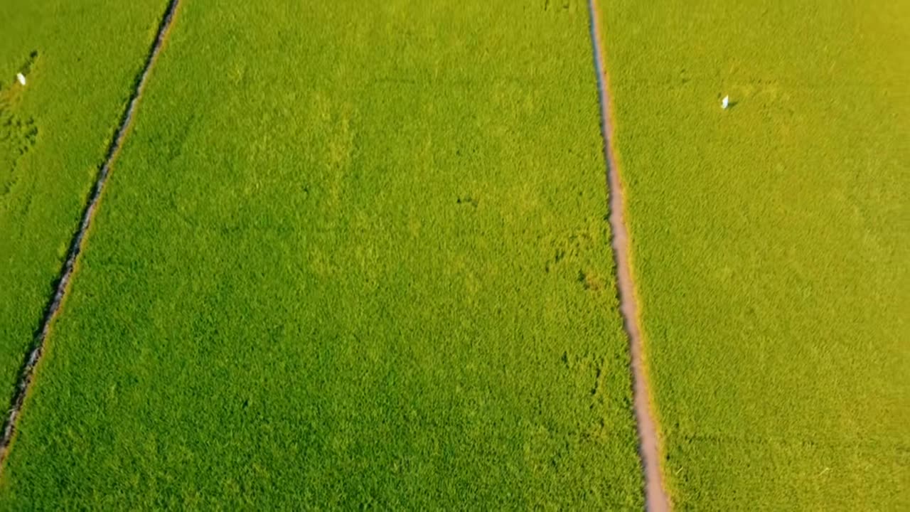 Beautiful nature views