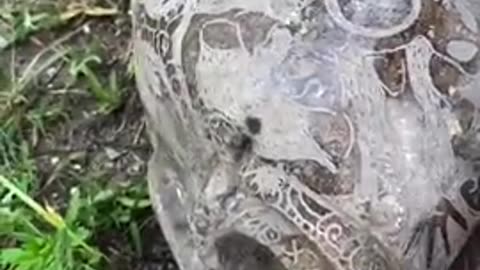 Ancient alien artifacts