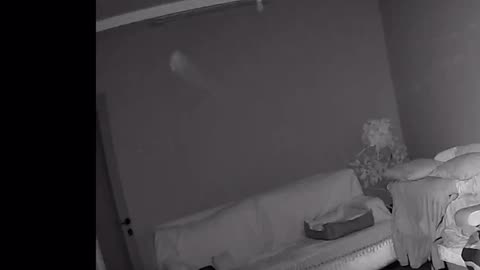 😱👀 You Won't Believe What They Caught on Camera! Eerie Apparition | TheHauntingHour