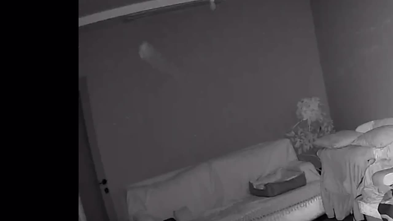 😱👀 You Won't Believe What They Caught on Camera! Eerie Apparition | TheHauntingHour