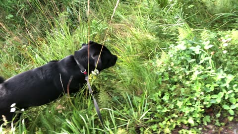 I’m back and it’s the maestro’s birthday 🎉