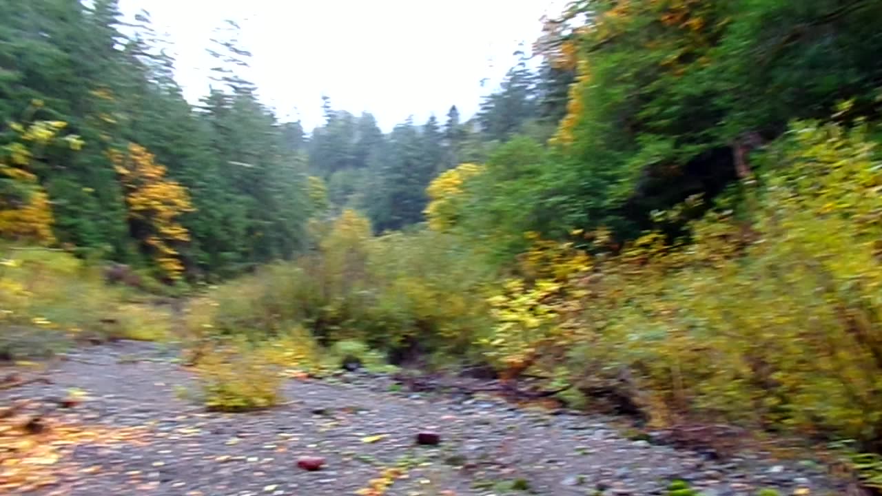This was the stream two years ago: