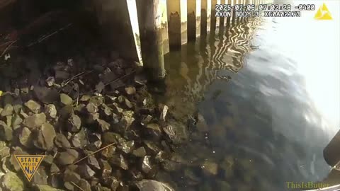 Body cam video shows New Jersey troopers rescue dog from waters of Arthur Kill