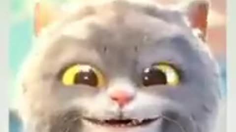 Funny cat face emoji (funny video) #catfaceemoji #funnycat #catemoji #funnycat #catfunnyface #funny
