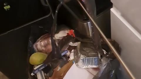 🤣🗑️ Wait For The Ending... Roommate's Trash Warning Gone Too Far | FunFM