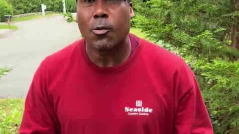 🤯😅 How to Say 'The Dog Fell in the Water and Drowned' in English! | FunFM