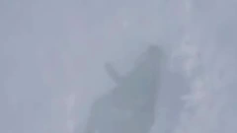 Engineer after saying trust me I’ve got this