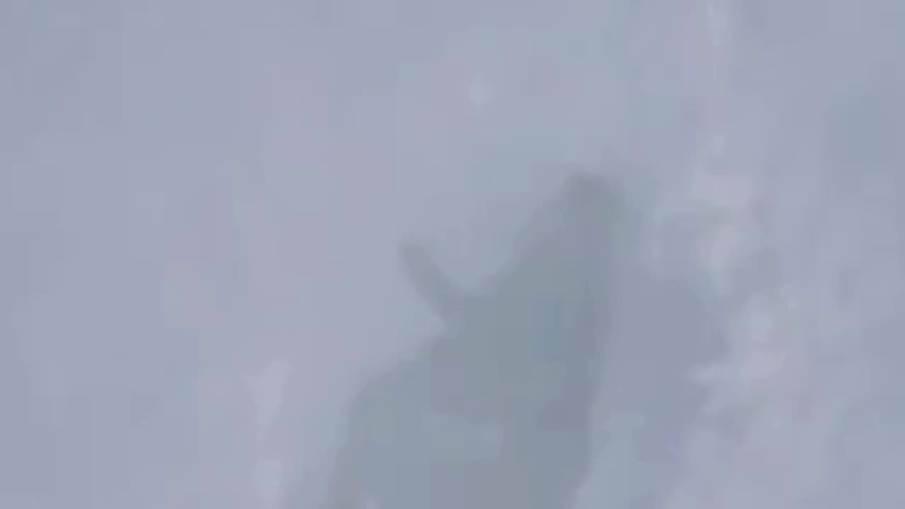 Engineer after saying trust me I’ve got this