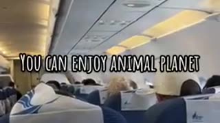 Thank Your For Choosing Air Somalia! 🐒😂🤦‍♀️