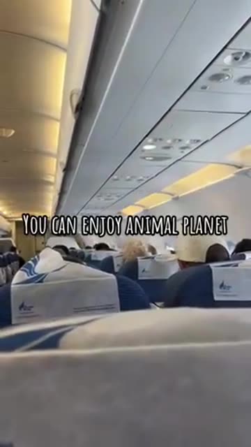 Thank Your For Choosing Air Somalia! 🐒😂🤦‍♀️