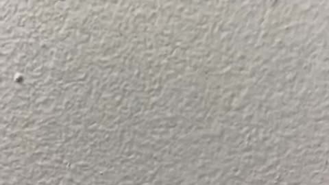 The Night when Christ was Born