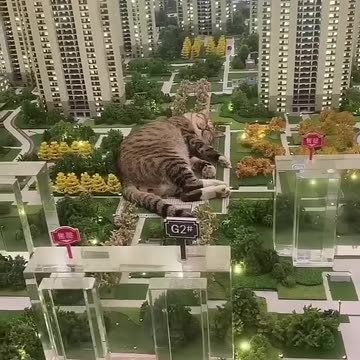 Funny animals 2023😆 - Funniest Cats and Dogs Video🐕🐈248 #shorts