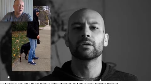 The Anti Dog Trainer and the Role of Devices