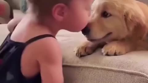 Dog's Comedy Videos 🤣 so cute videos 😍 funny videos 🤣