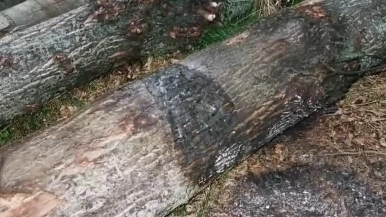 THIS SCOTTISH 15YR OLD WAS STA**ED MULTIPLE TIMES, KIDNAPPED