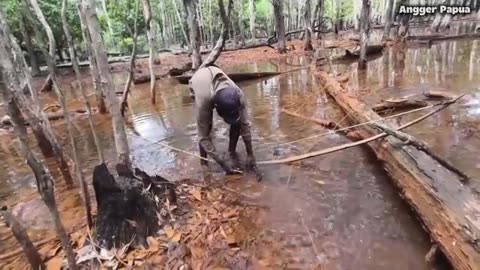 Snakehead Fish Hunting with Arrows | Merauke Swamp Fishing Adventure