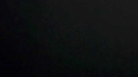 Documenting Police Criminal Negligence and Harassment