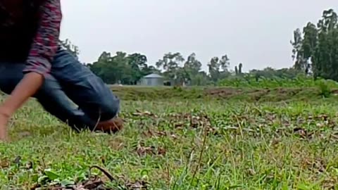 Funny Moment