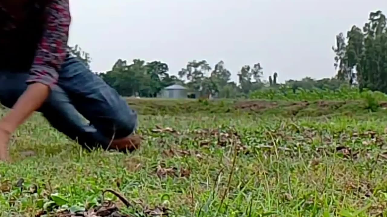 Funny Moment
