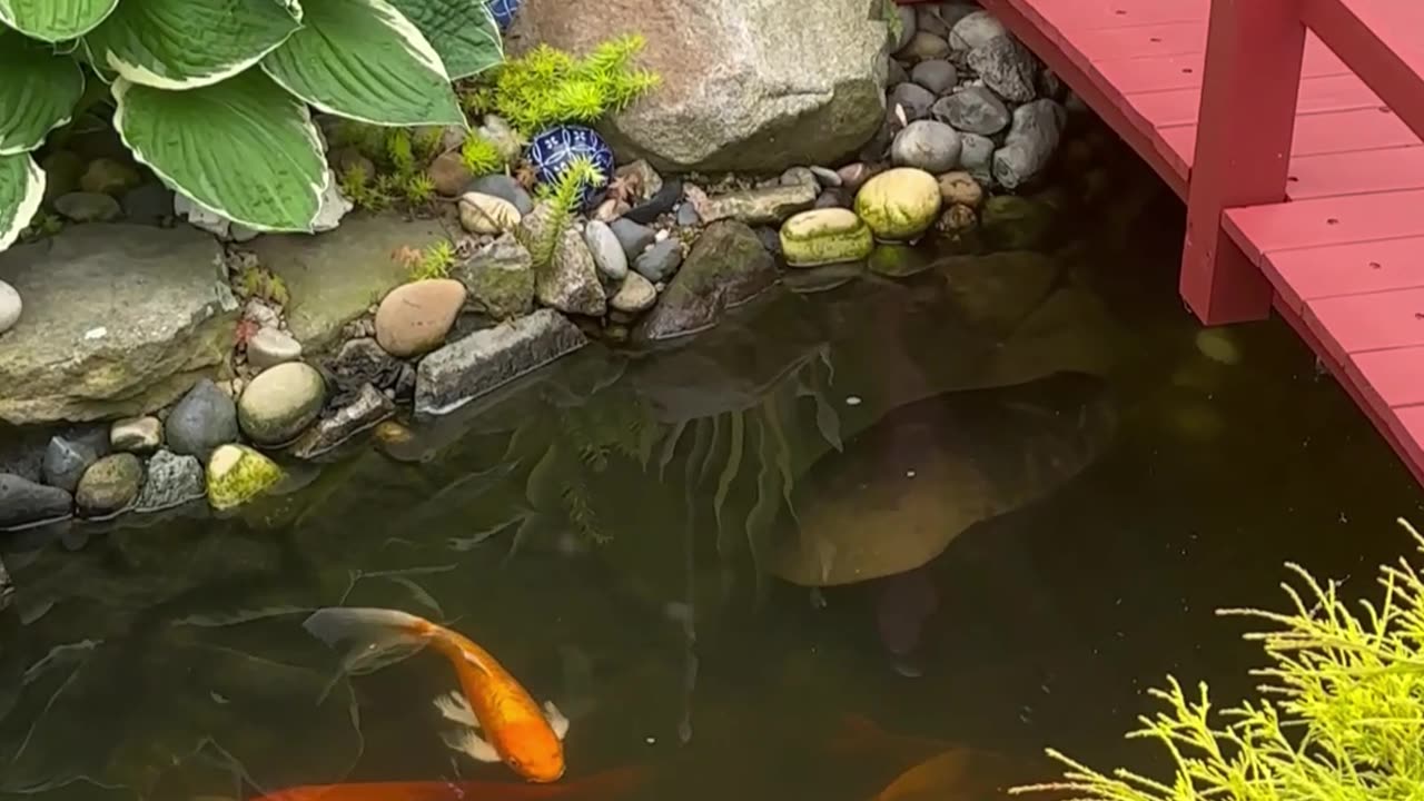 Follow The Path To Freedom