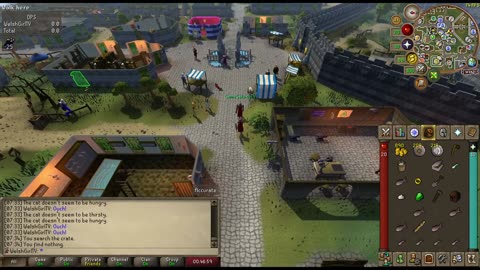 Relaxing OSRS Gameplay ✨ Chill Duo Playthrough to Relax & Sleep (No Commentary)