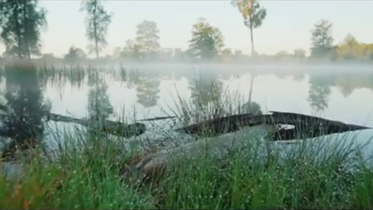 Beautiful Morning Sunrise time Laps in Nature