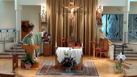 Homily for the 14th Sunday in Ordinary Time "C"