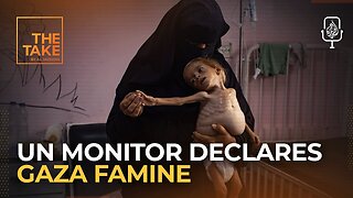 Brief: UN monitor declares Gaza famine as Israel advances in Gaza city | The Take