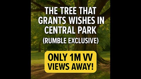 24. The Tree That Grants Wishes in Central Park - Newyork (Rumble Exclusive)