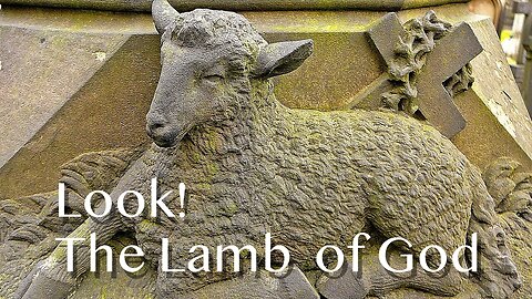 Look! The Lamb of God - John 1:29-41 - 2nd Sunday after Epiphany