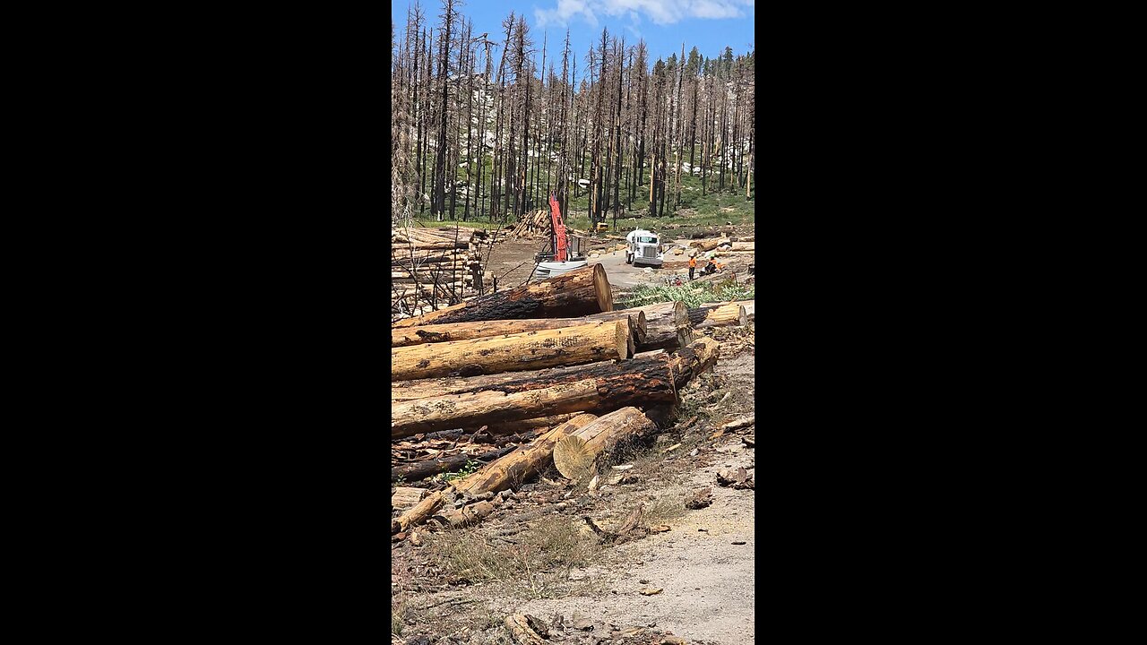 LOGGING EXPEDITION FROM CALDOR FIRE