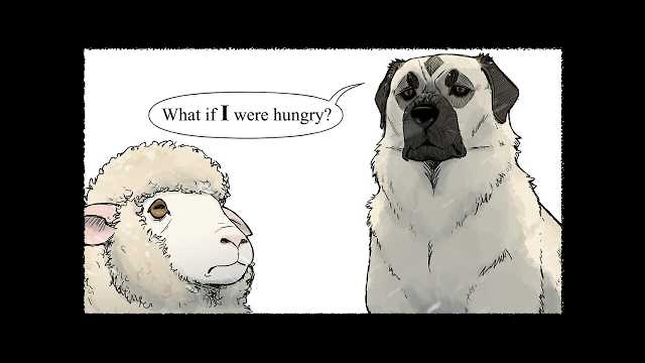 The Only Difference Between This Dog and an Actual Wolf