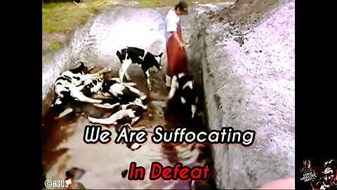 We Are Suffocating In Defeat