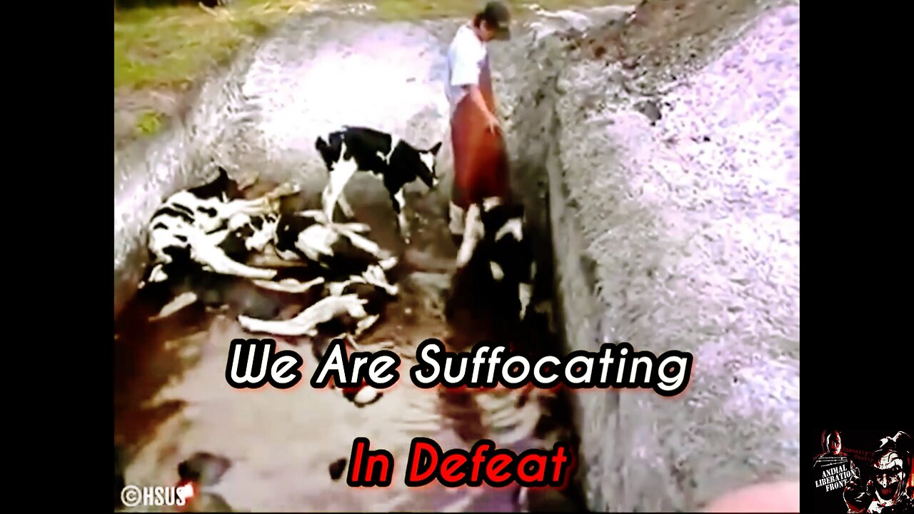 We Are Suffocating In Defeat
