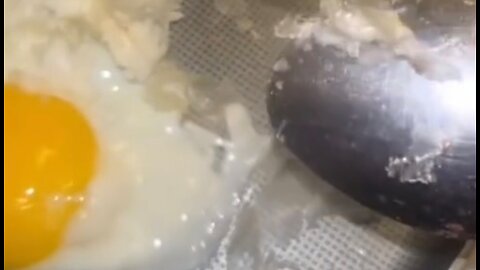 Fake Toxic GMO Food in Circulation