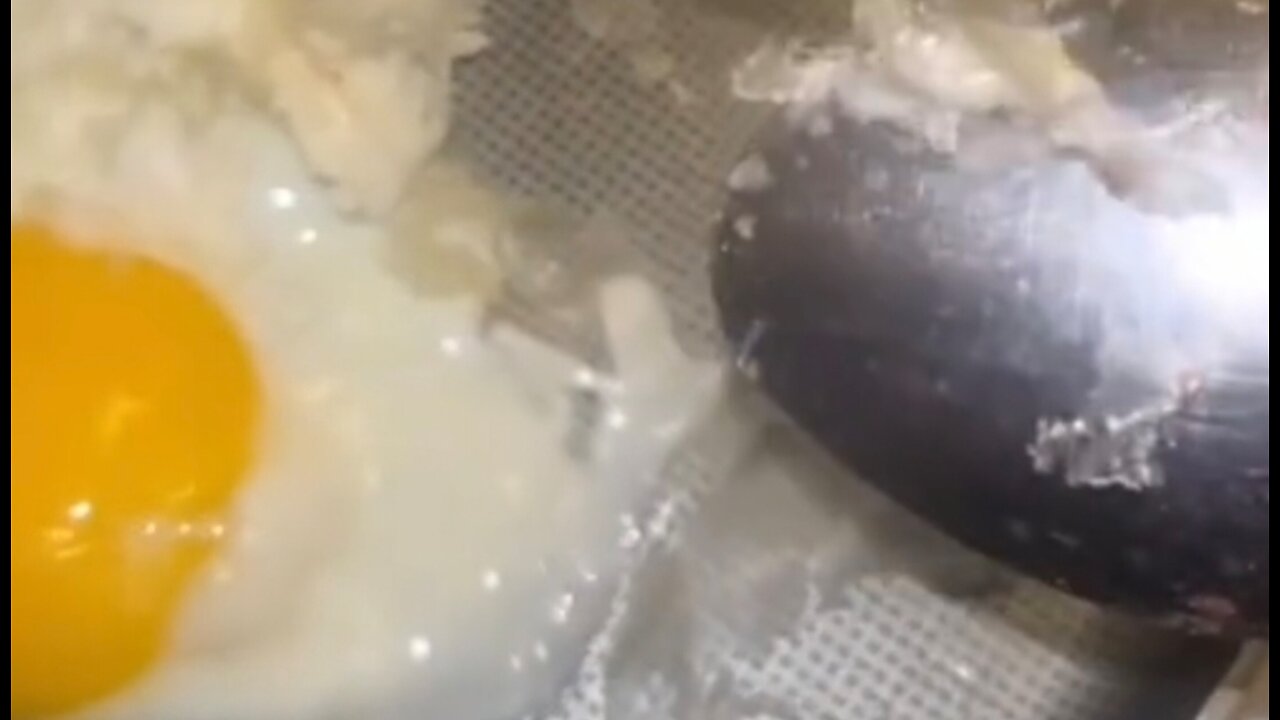 Fake Toxic GMO Food in Circulation