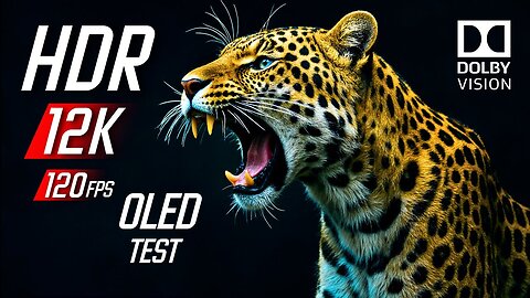 Incredible 12K HDR 120fps OLED Test Video | 12K Video Ultra HD