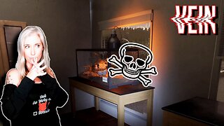 Cleared the ZOMBIE SCHOOL... Found My SKELETON FRIEND & CREEPY EMPTY TARANTULA HOUSE! 😱