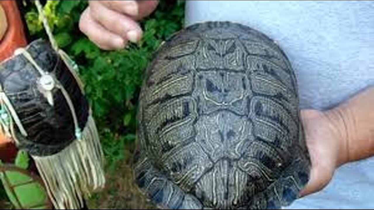 The 13 Month Calendar And Turtle Shells (Issachar were men of Understanding in Times)