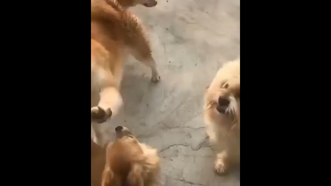 Funny