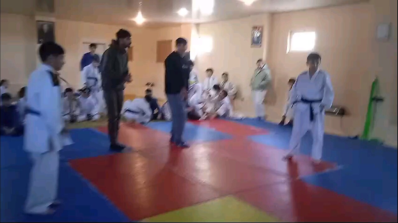Judo fight